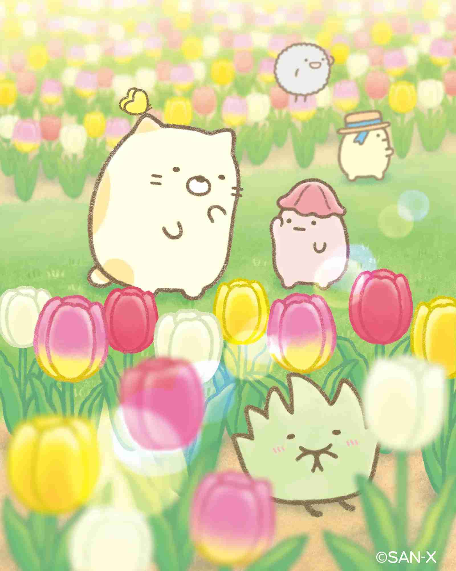 【祝10周年！】すみっコぐらし好きな人集まれ〜！