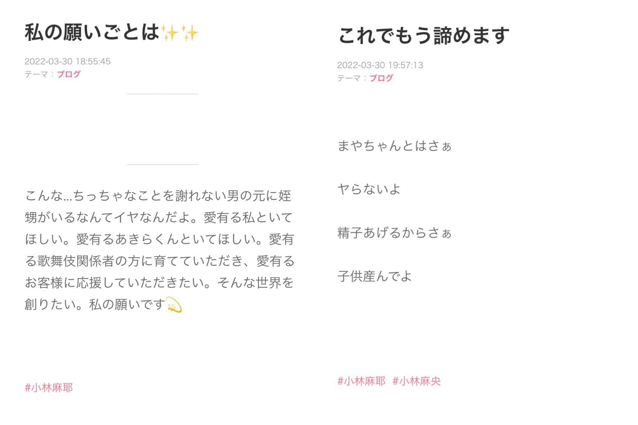 小林麻耶が再婚発表「父とは縁を切って “駆け落ち”」海老蔵への批判動画はすべて削除の急展開