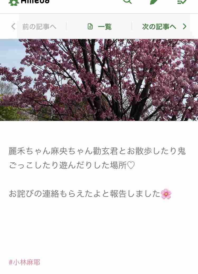 小林麻耶が再婚発表「父とは縁を切って “駆け落ち”」海老蔵への批判動画はすべて削除の急展開