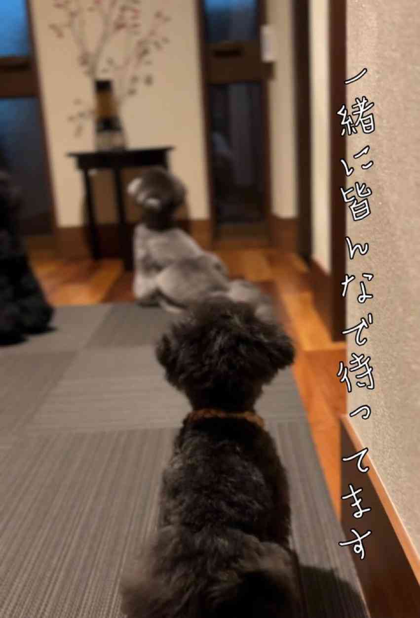 【宇野昌磨選手】ファントピPart.16