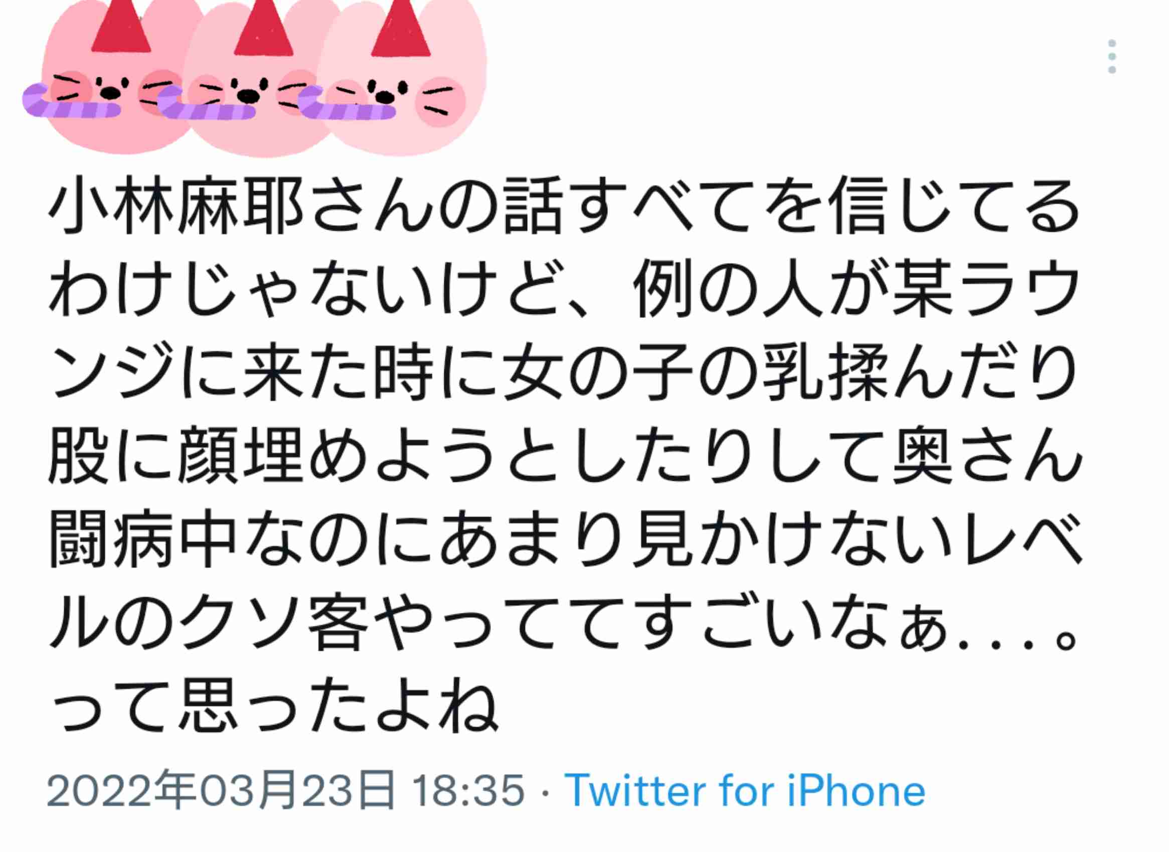 市川海老蔵への告発を続ける小林麻耶の洗脳を疑う声に「少なくもとも2つのことについては事実」と明かす関係者