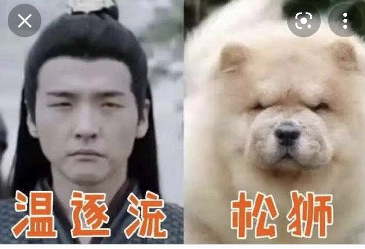 「陳情令」好きな人!