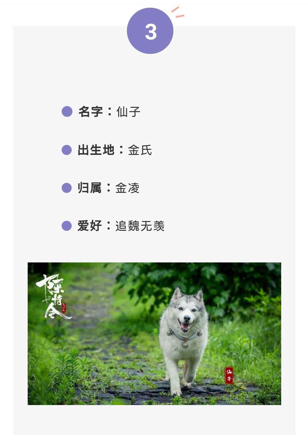 「陳情令」好きな人!