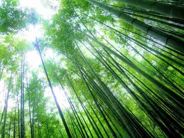 精神的に辛くなった時の居場所