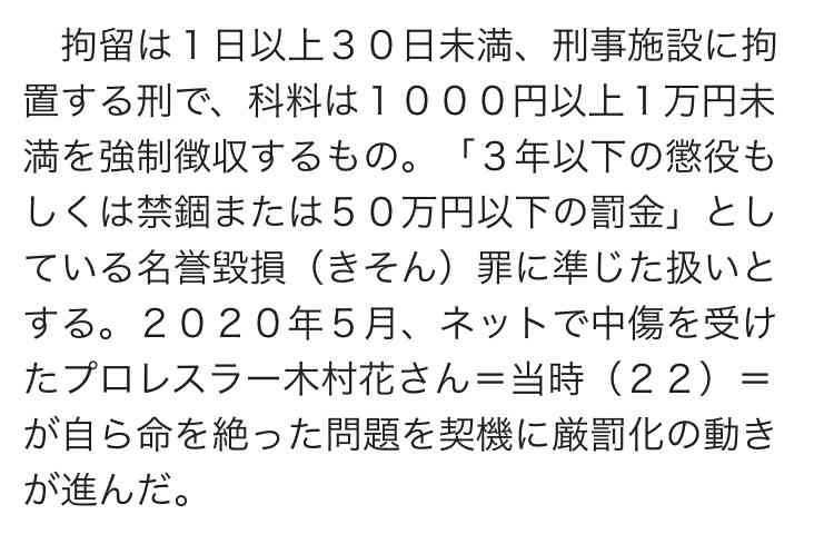 SNS上ひぼう中傷対策強化 侮辱罪に懲役刑導入 刑法改正案決定
