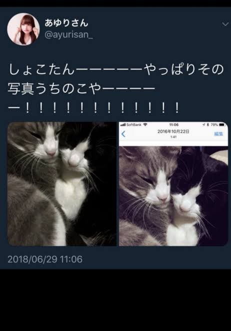 中川翔子　殺害予告の恐怖「本当に現場に現れる」誹謗中傷厳罰化も「加害者守る動きが大きい」