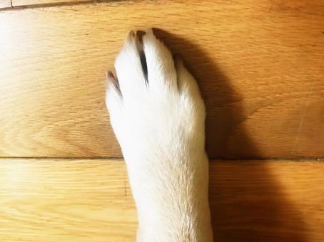 連休明けが憂鬱で仕方ない人〜