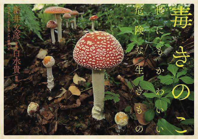 悠仁さま筑波大学付属高校へ 「提携校進学制度」で合格 宮内庁