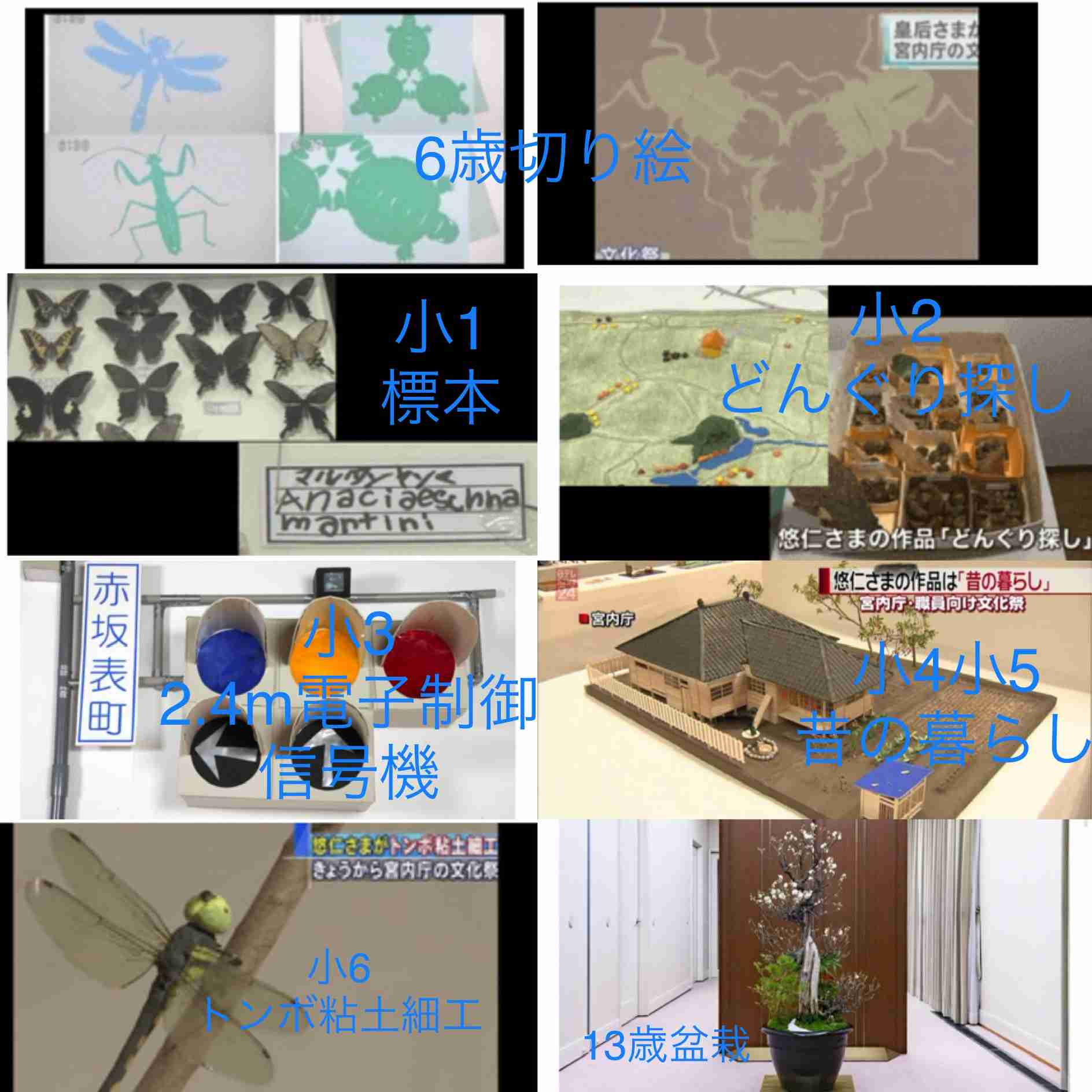悠仁さま筑波大学付属高校へ 「提携校進学制度」で合格 宮内庁