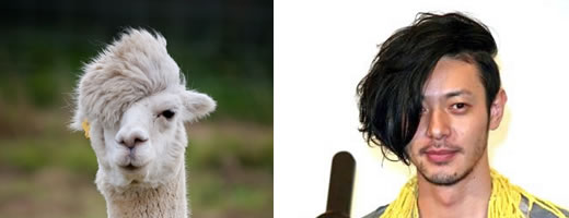 オダギリジョー「過去を隠さない」「SNSやらない」異色俳優が売れ続ける理由