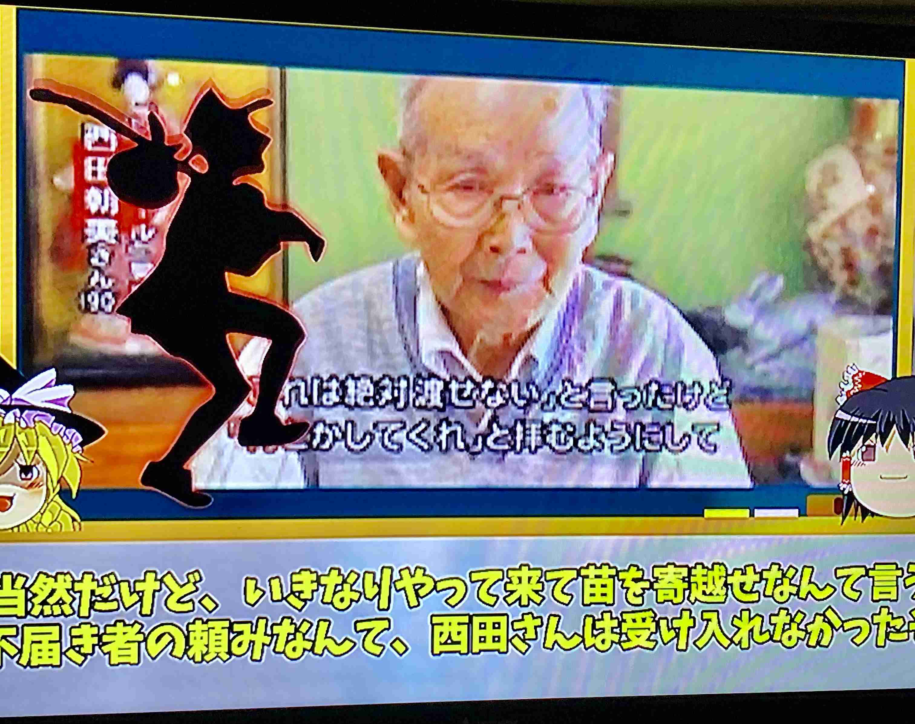 日本から輸入のイチゴが相次ぎ不合格 台湾、日本側に原因の説明を要求