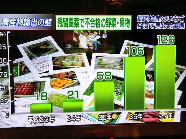 日本から輸入のイチゴが相次ぎ不合格 台湾、日本側に原因の説明を要求