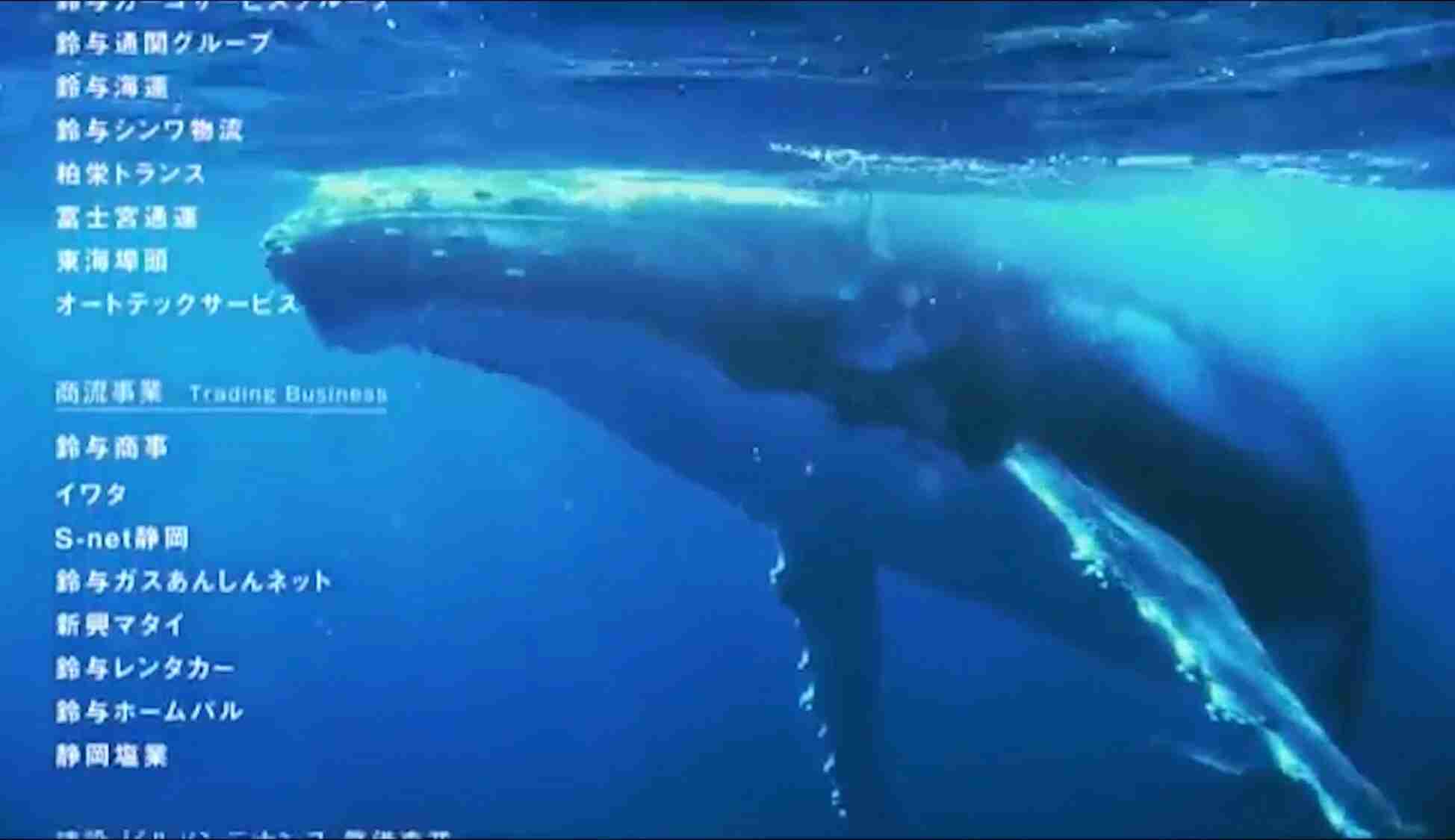 個人的に聞くと切なくなる曲