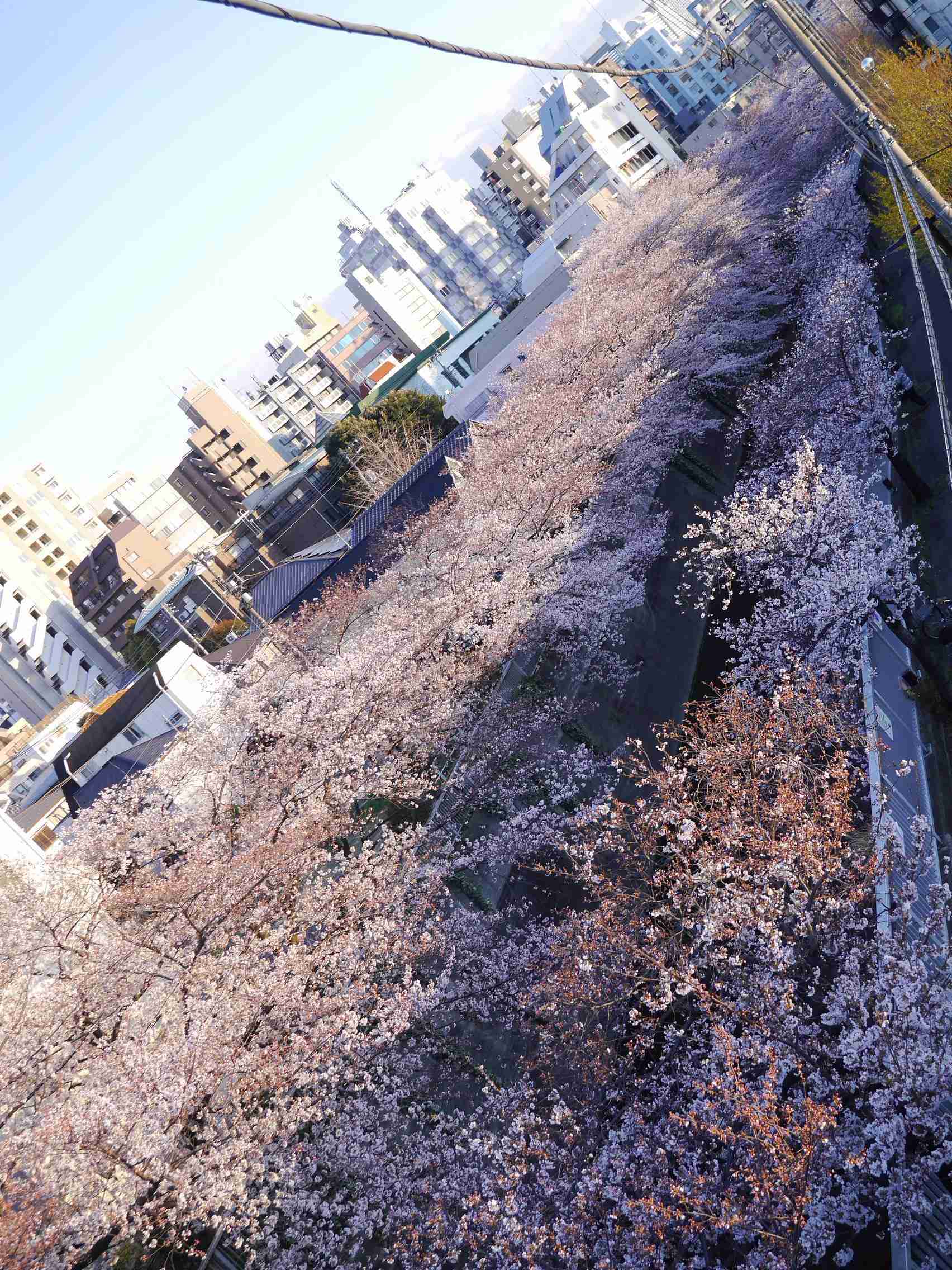 今月の雑談トピ【2022年4月】