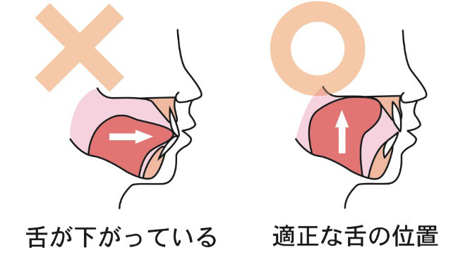 舌の位置がわからない