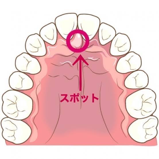 舌の位置がわからない