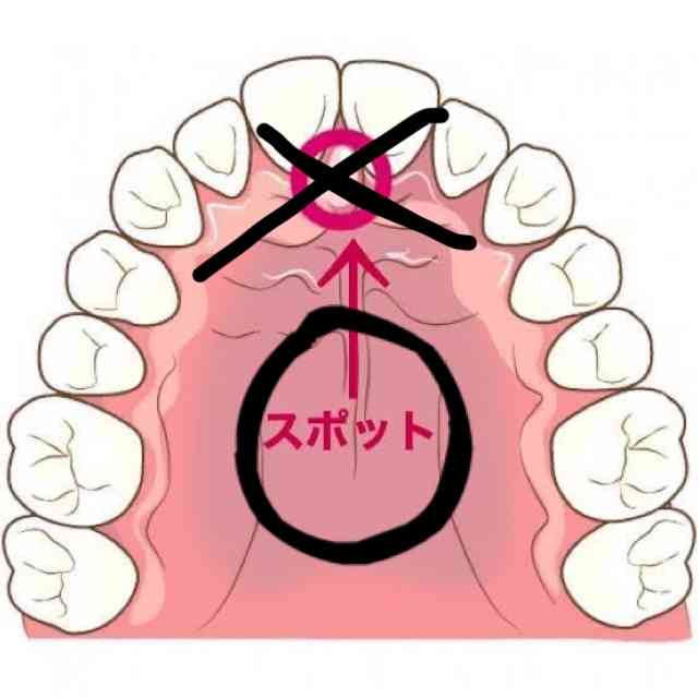 舌の位置がわからない