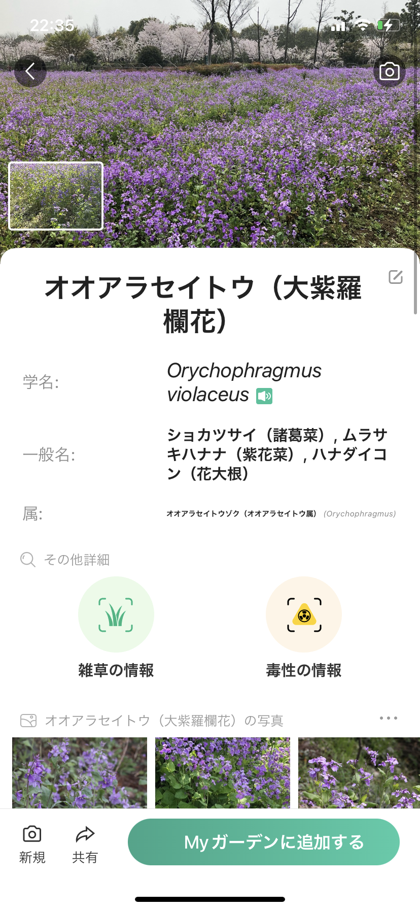 『今日こんな花が咲いてたよ』って報告するトピ🌼