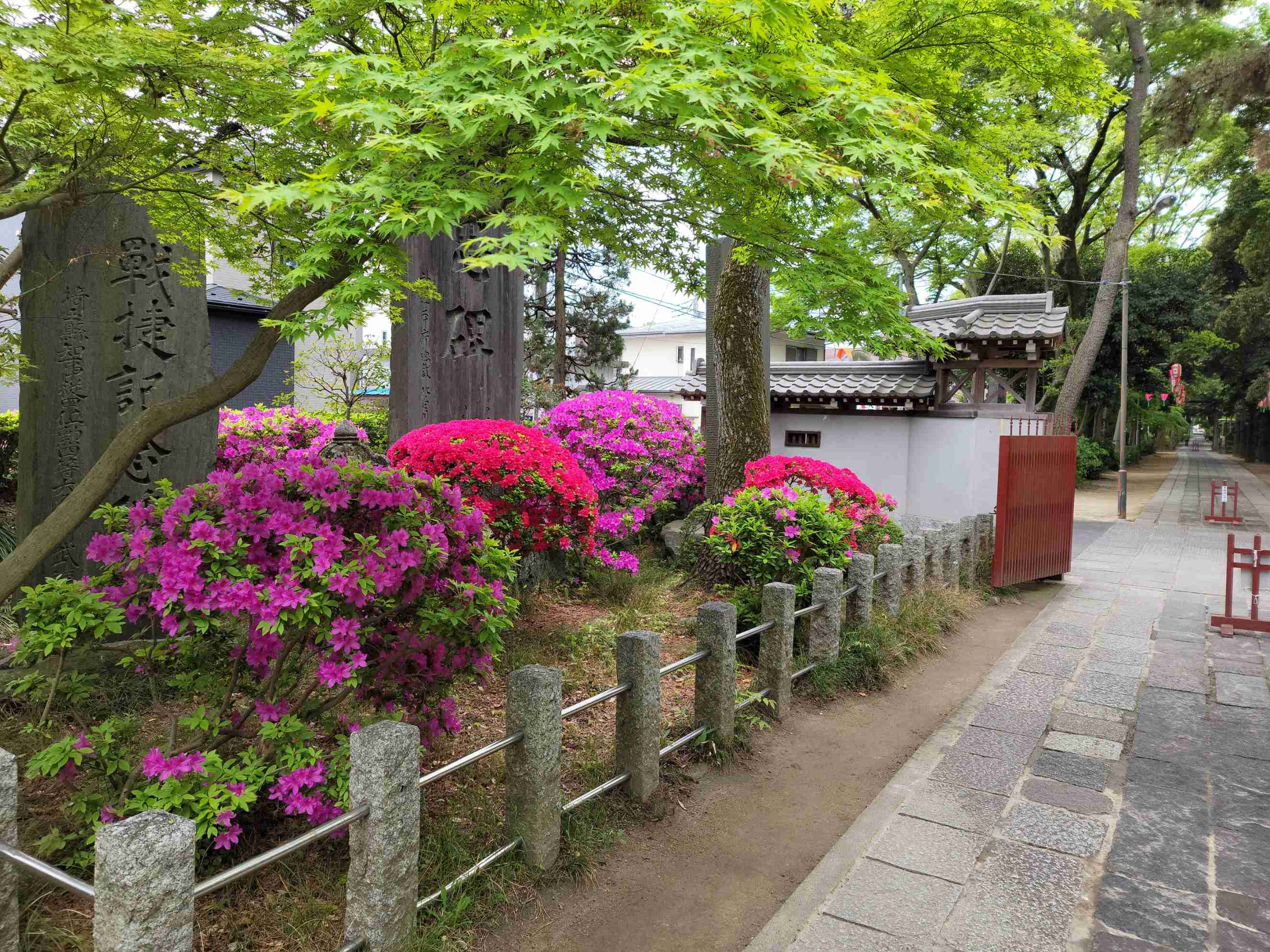 『今日こんな花が咲いてたよ』って報告するトピ🌼