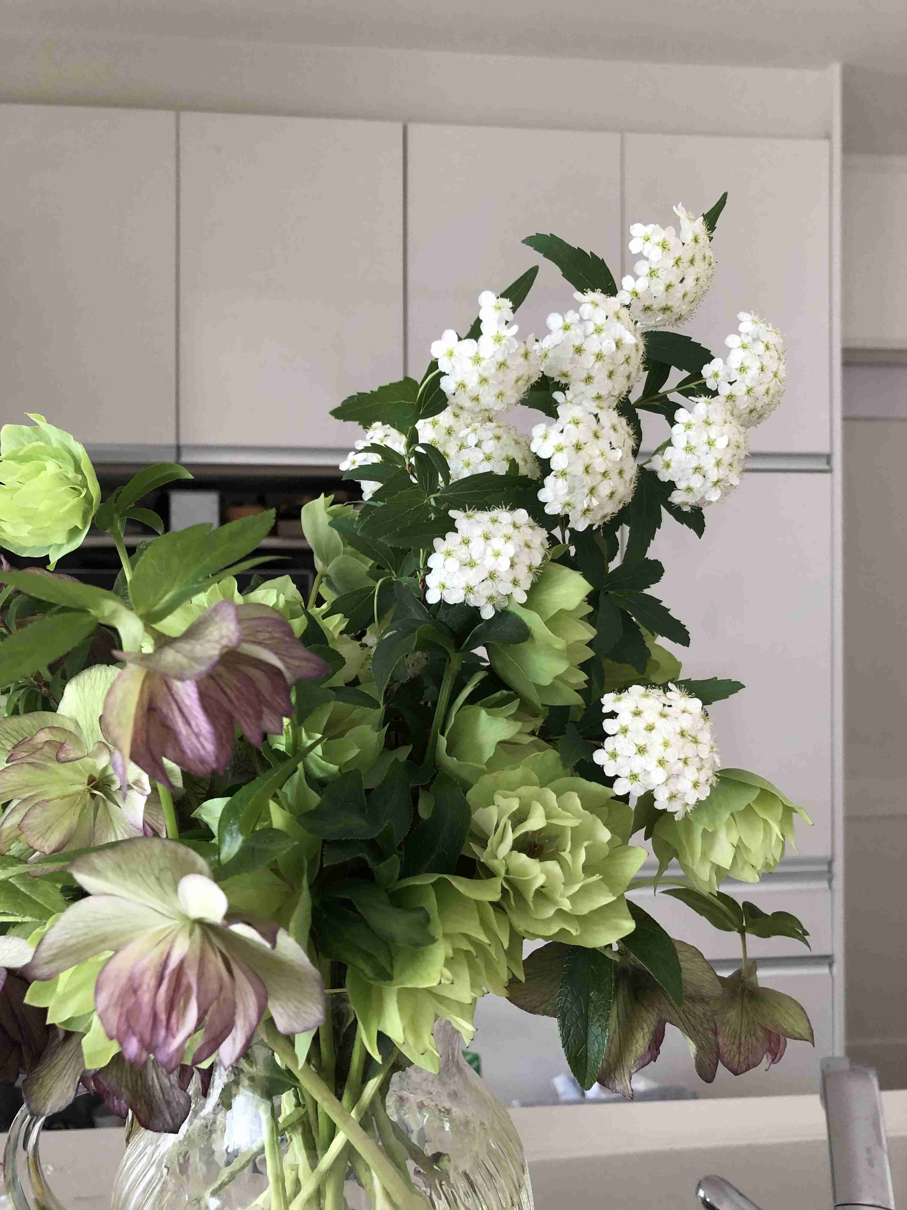 『今日こんな花が咲いてたよ』って報告するトピ🌼