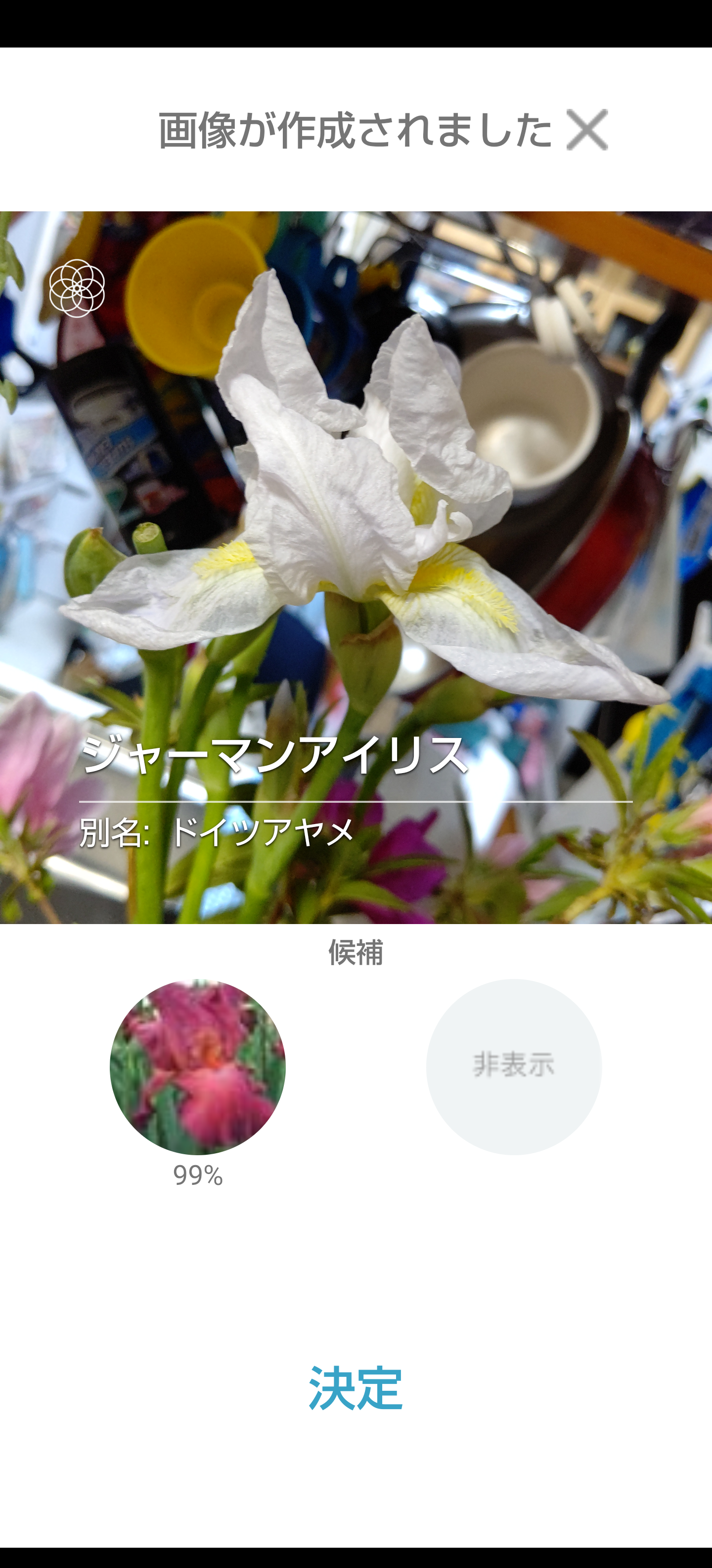 『今日こんな花が咲いてたよ』って報告するトピ🌼