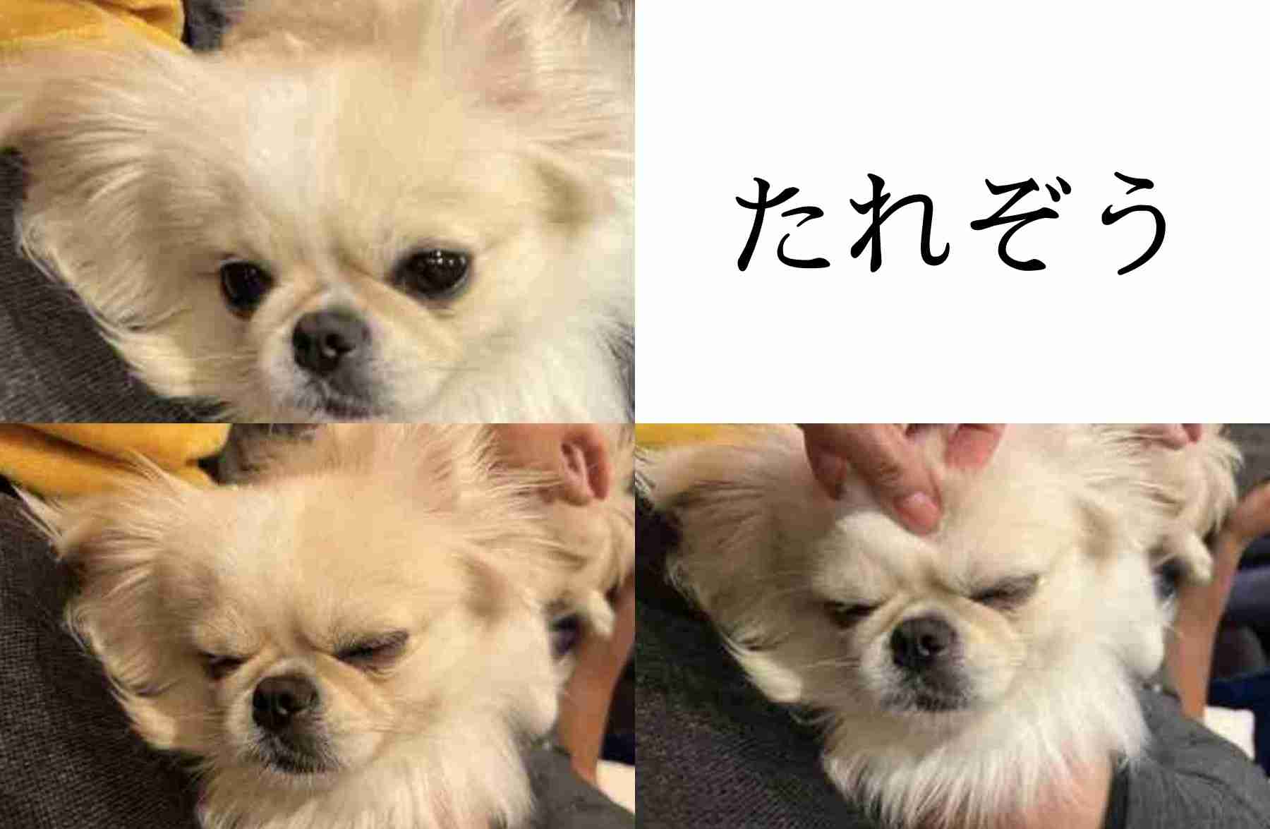 餅田コシヒカリ“黒髪のセクシー美女”に変身 メイク担当・ざわちん「もともと素材がいい」