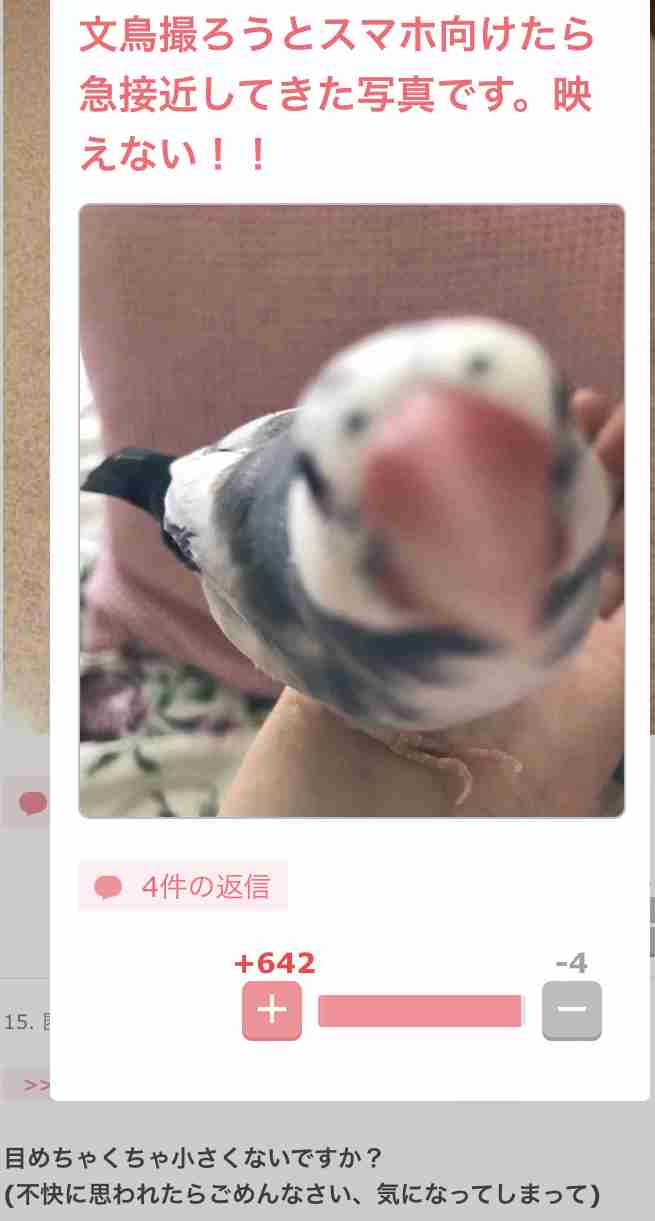 声を出して笑ったガルちゃんの投稿Part26