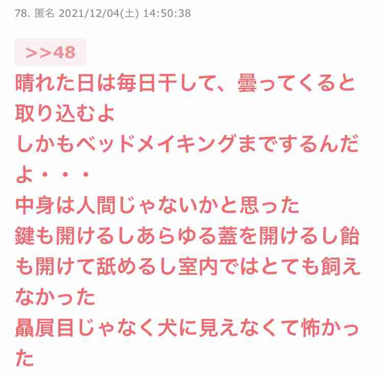 声を出して笑ったガルちゃんの投稿Part26