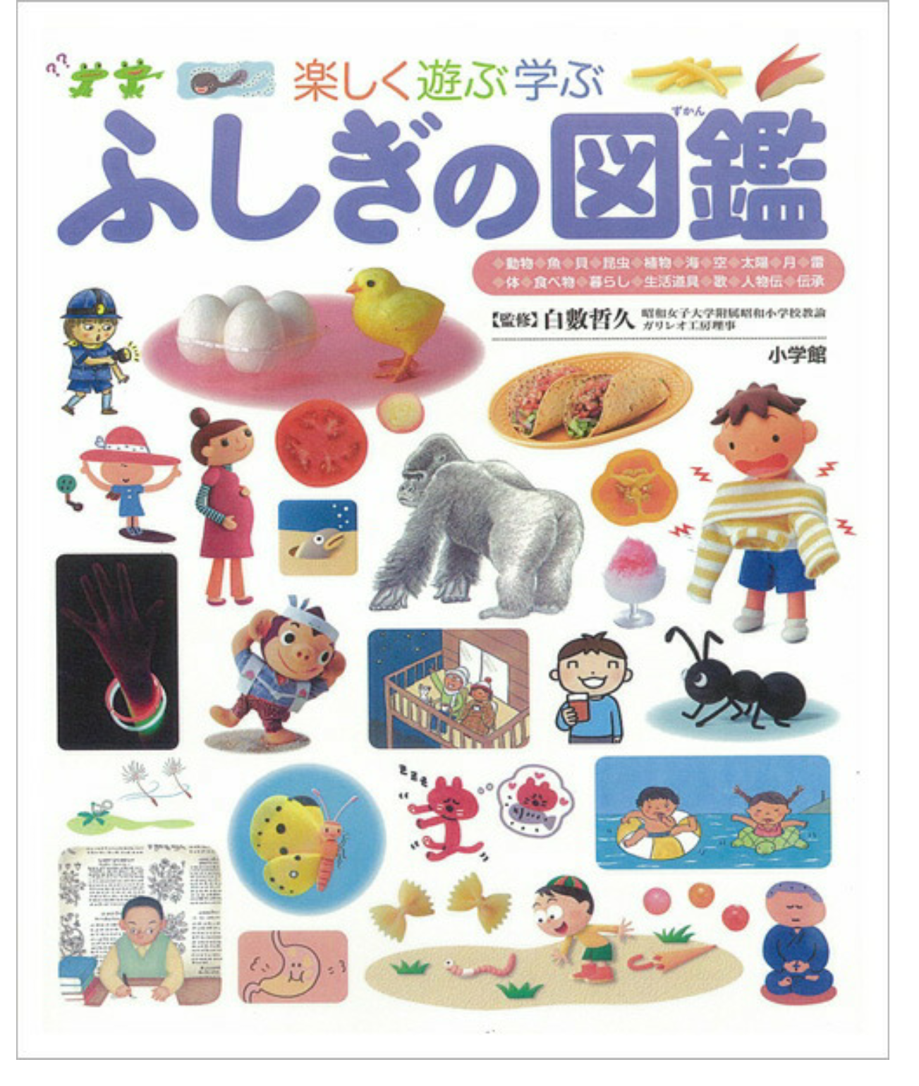 子供の「なんで？」攻撃がツライ