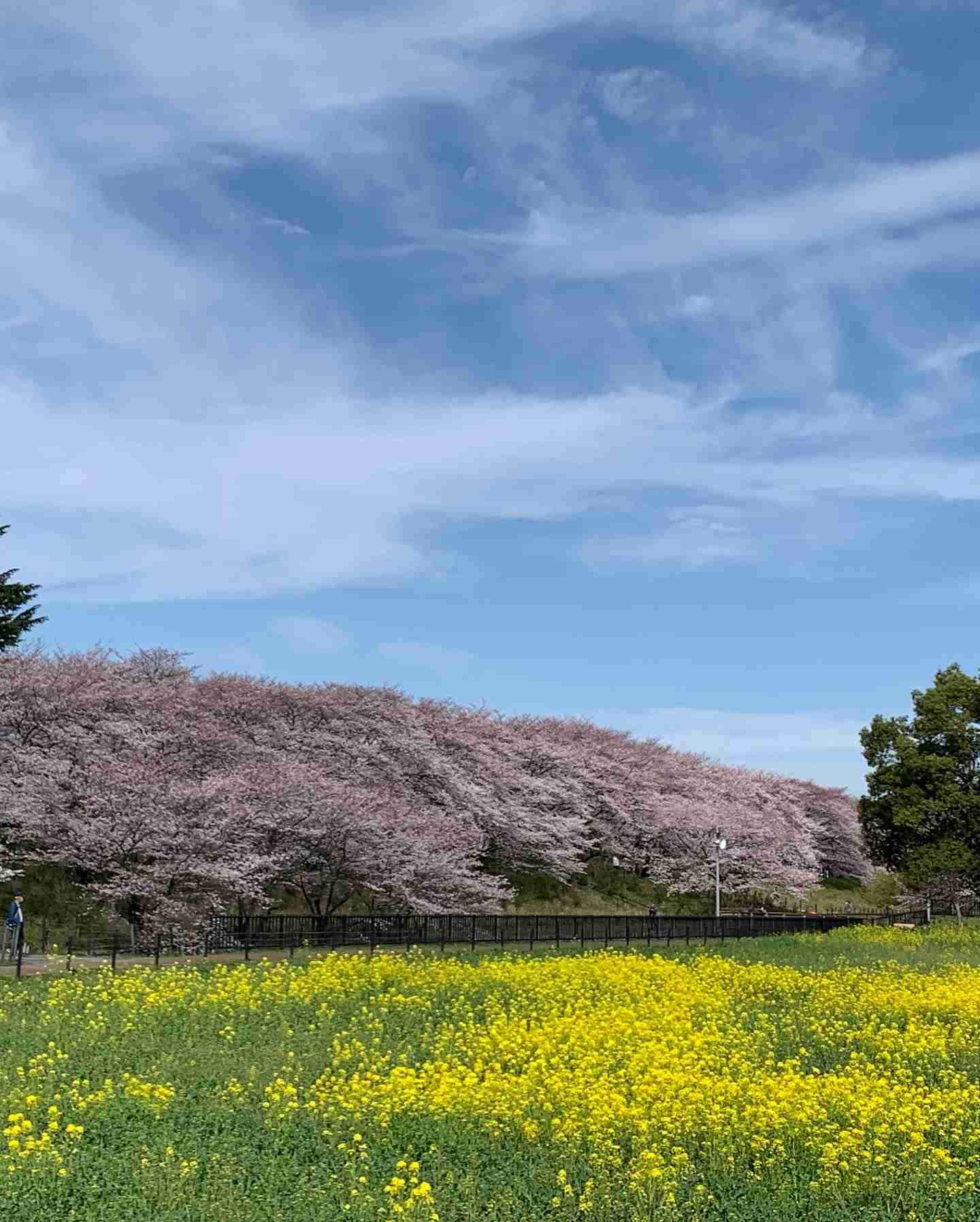 最近行った場所で良かった所