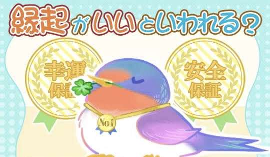 「帰宅したらツバメが住み着いている」 話題のツイートから学ぶ「鳥の巣」撤去の注意点