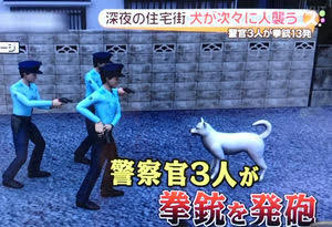 「ドーベルマンが複数逃げ出した」警察官20人体制で捜索中 木更津市