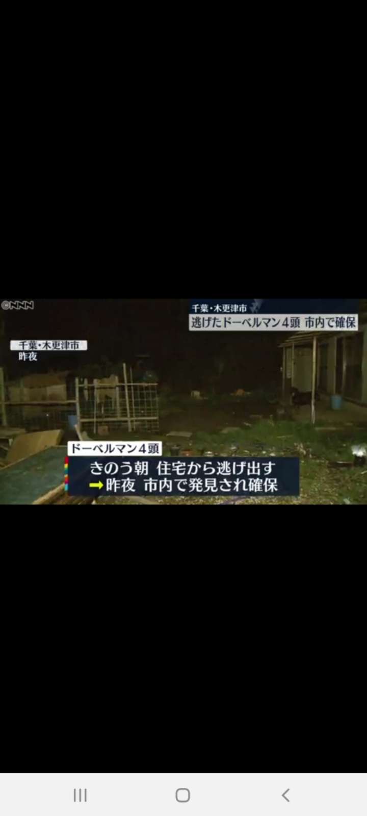 「ドーベルマンが複数逃げ出した」警察官20人体制で捜索中 木更津市