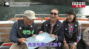 大型連休中、運航自粛 知床の小型観光船協議会