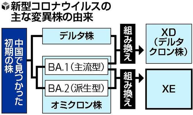 コロナ禍あるある