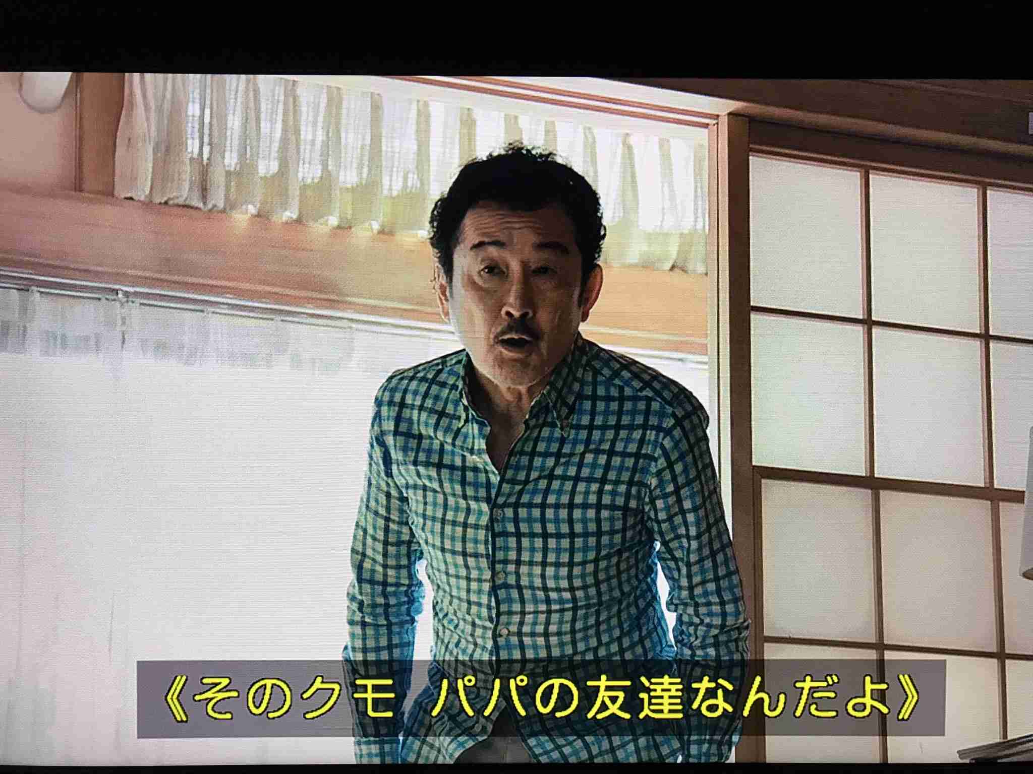 蜘蛛と同居してる人part4