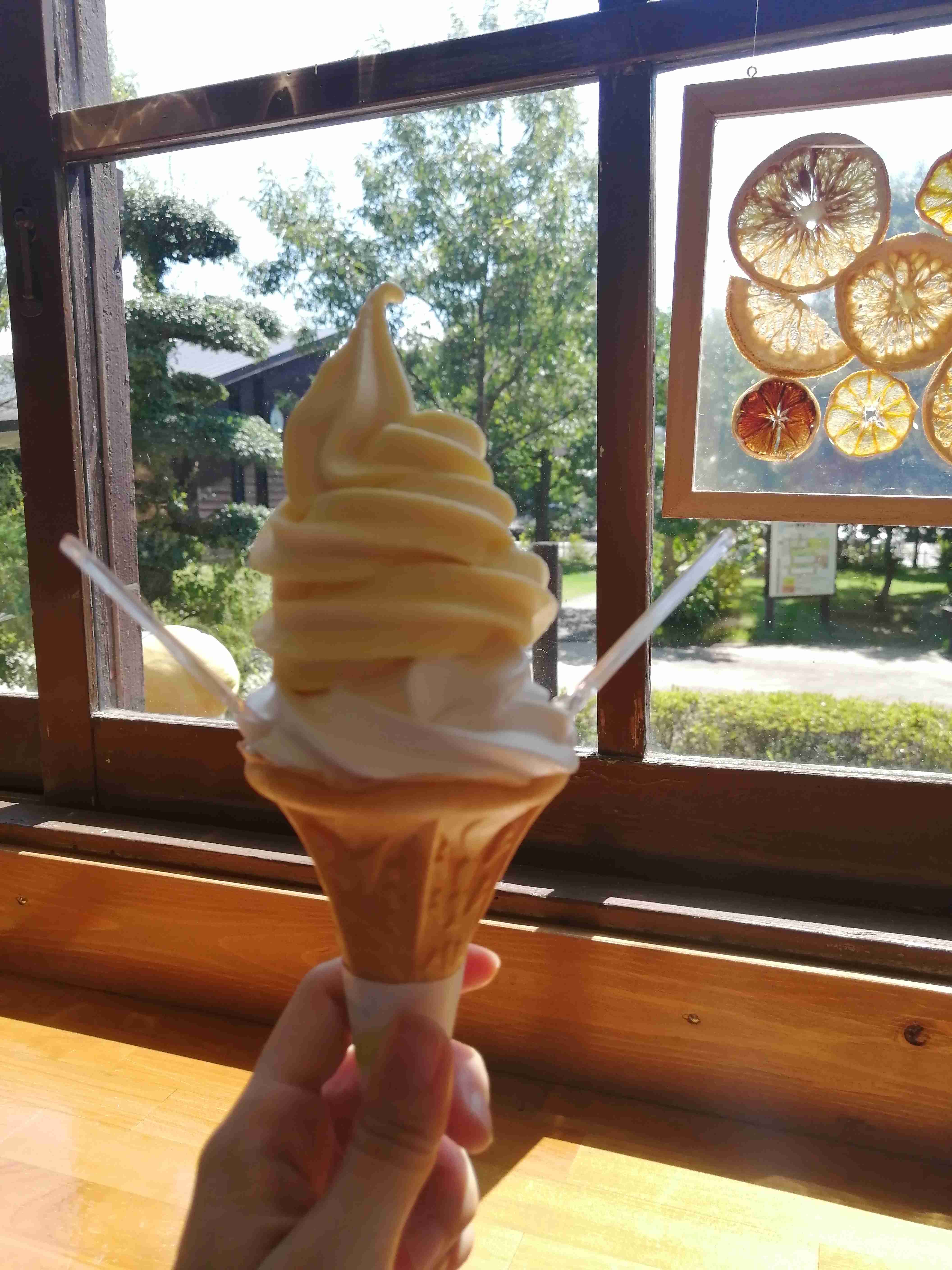 ソフトクリーム好きな人🍦