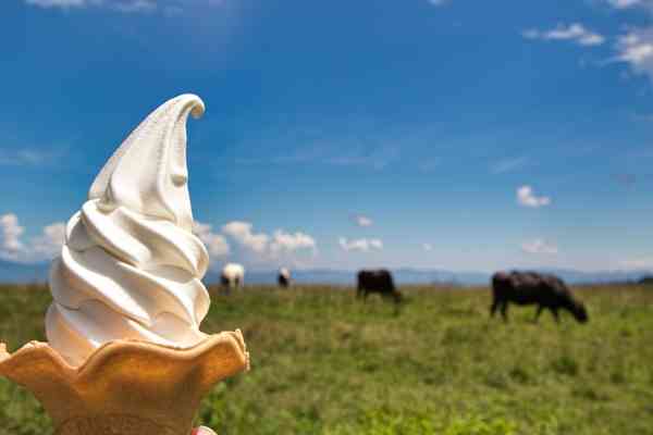 ソフトクリーム好きな人🍦