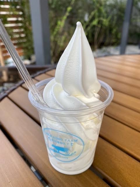 ソフトクリーム好きな人🍦