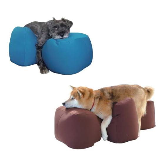 老犬介護 U^ェ^U