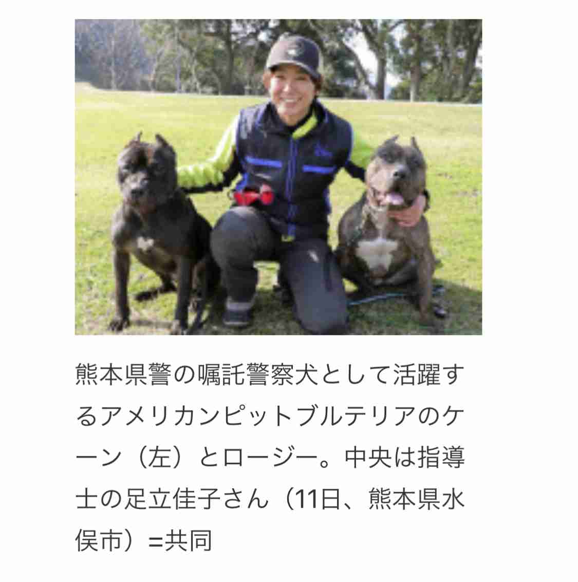 逃走中の