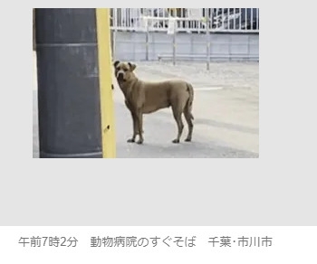 逃走中の