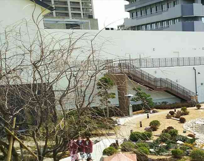 AKB・坂道系の闇を語るトピ　part4