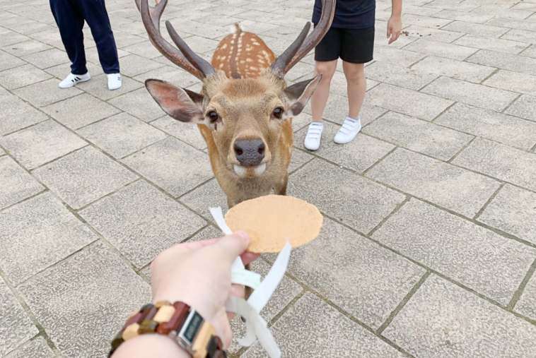 ビックリした観光地エピソード教えて！