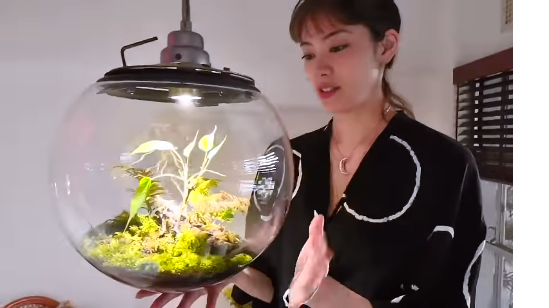 伊勢谷友介、水槽のある自宅が超オシャレ!「神秘的すぎる」「BARみたいな素敵な家」と反響