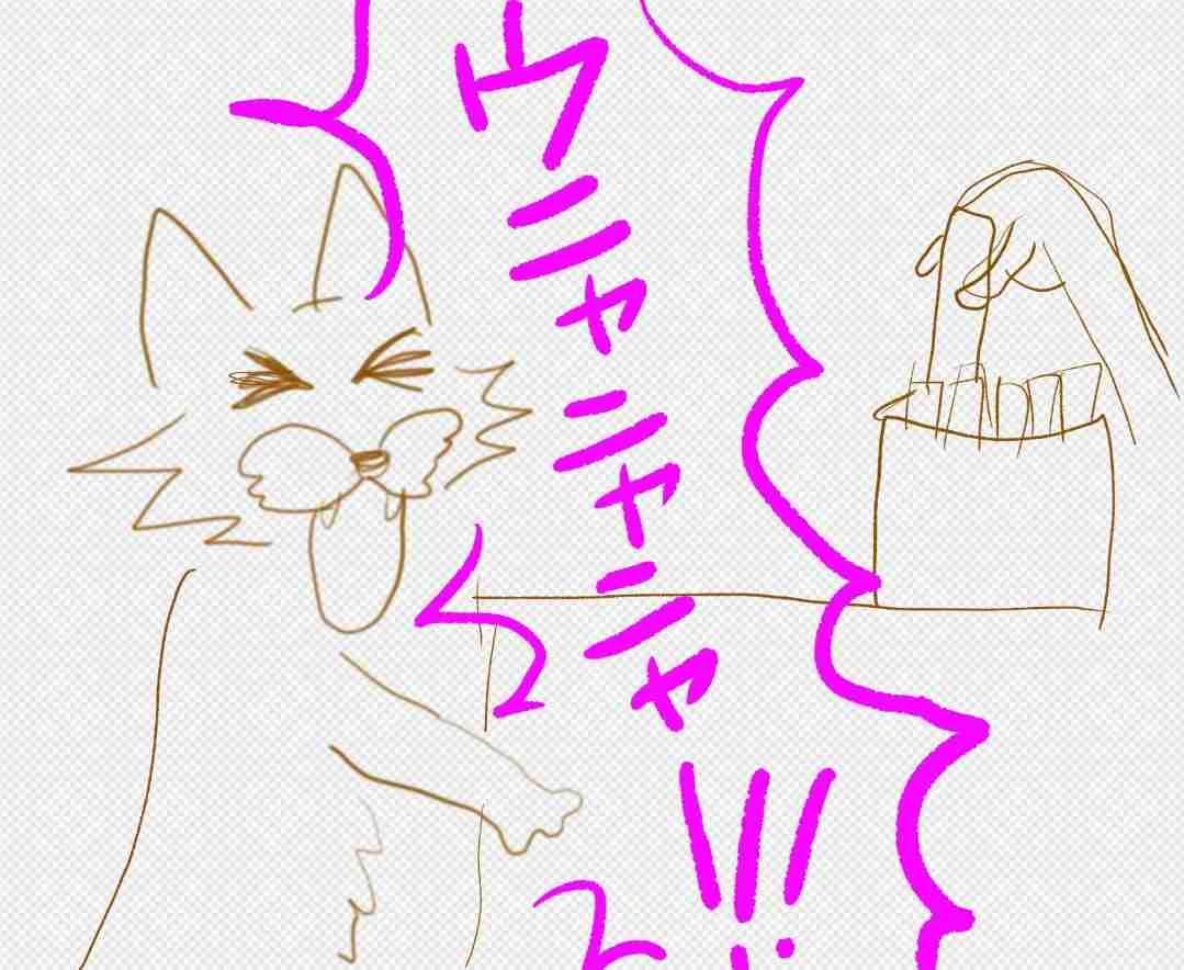 ペットとの意思疎通で1番凄かったことPart2