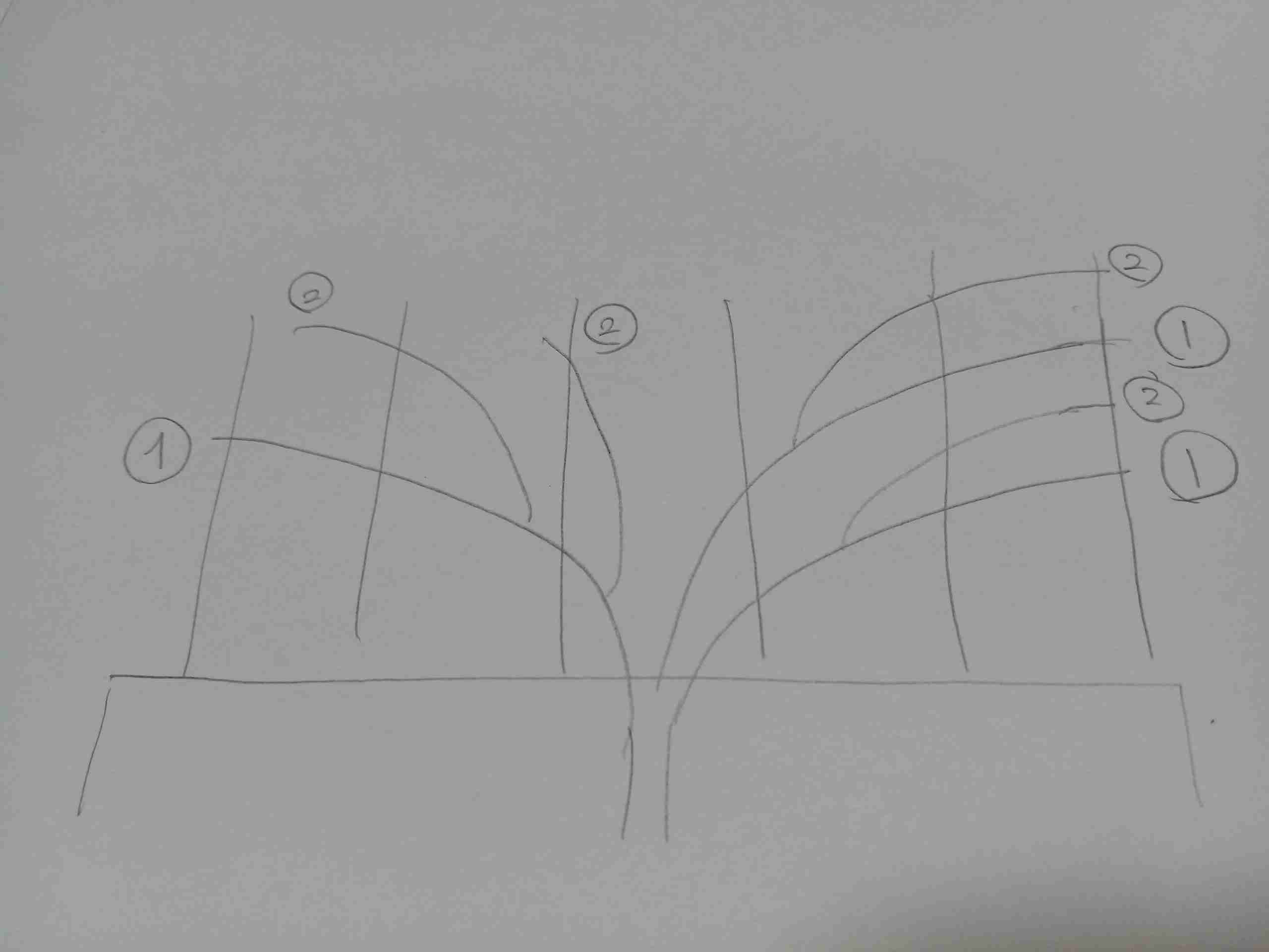 【ガーデニング】ガルちゃん園芸部【花・植物】part.12