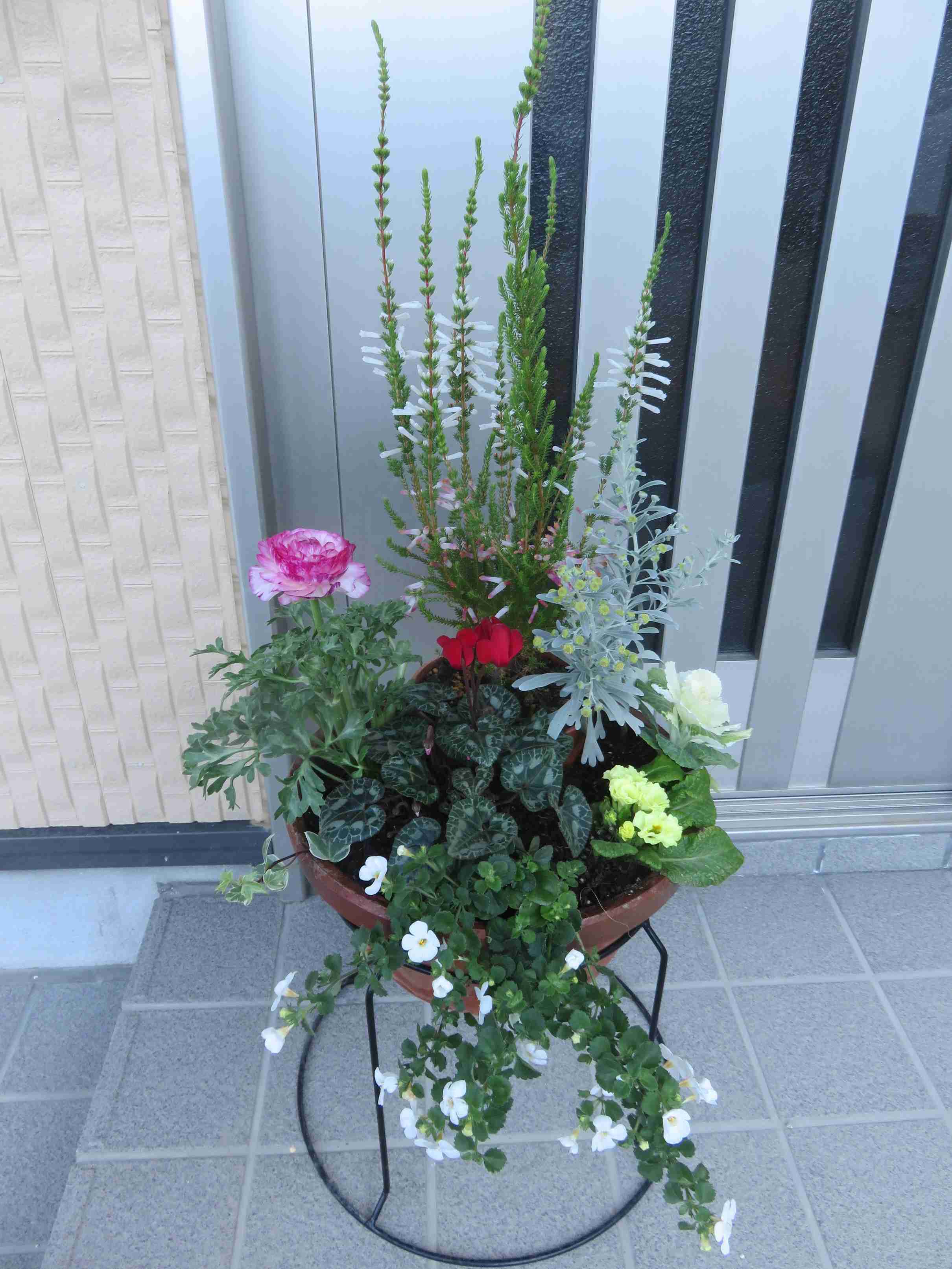 【ガーデニング】ガルちゃん園芸部【花・植物】part.12
