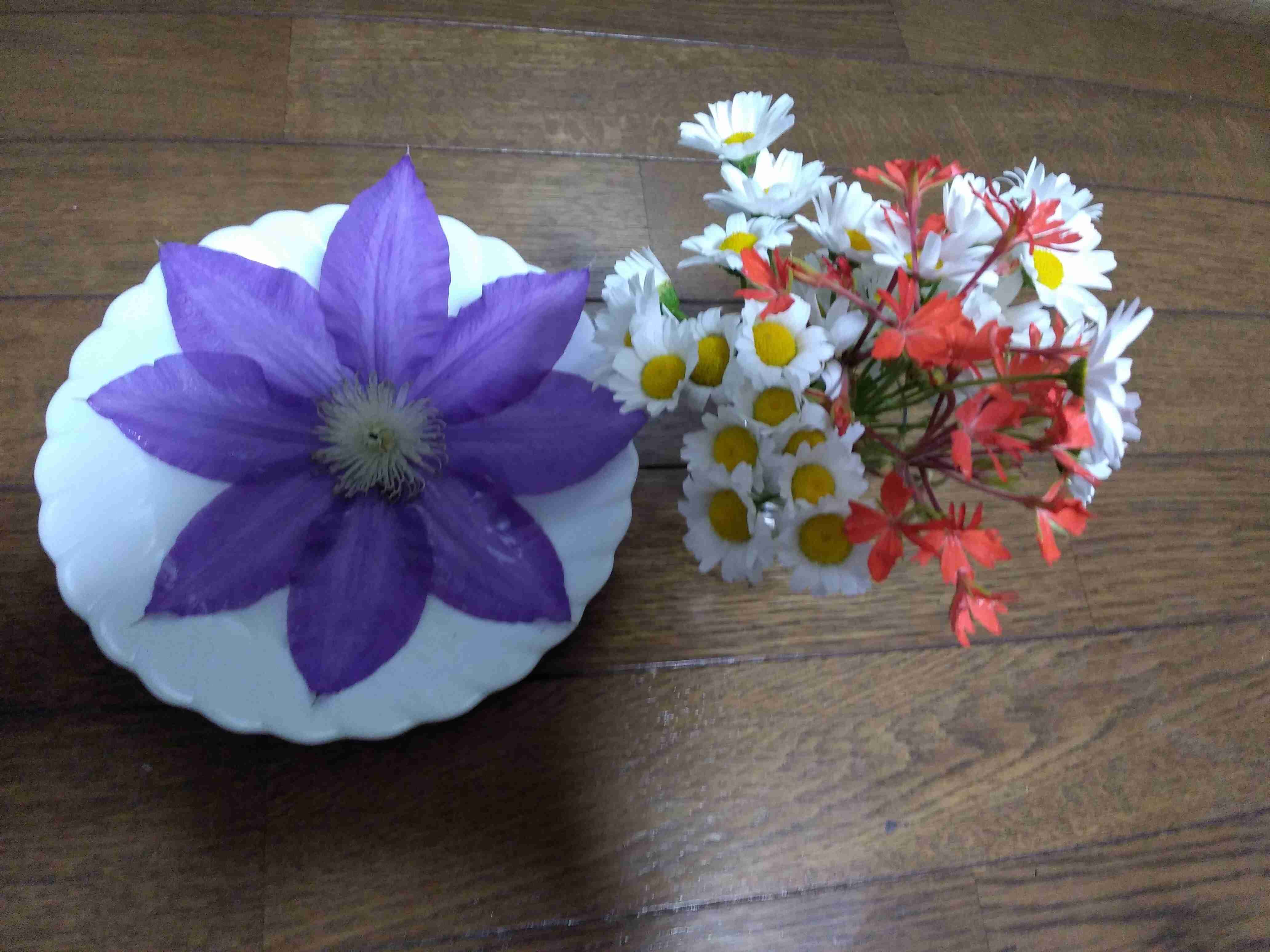 【ガーデニング】ガルちゃん園芸部【花・植物】part.12