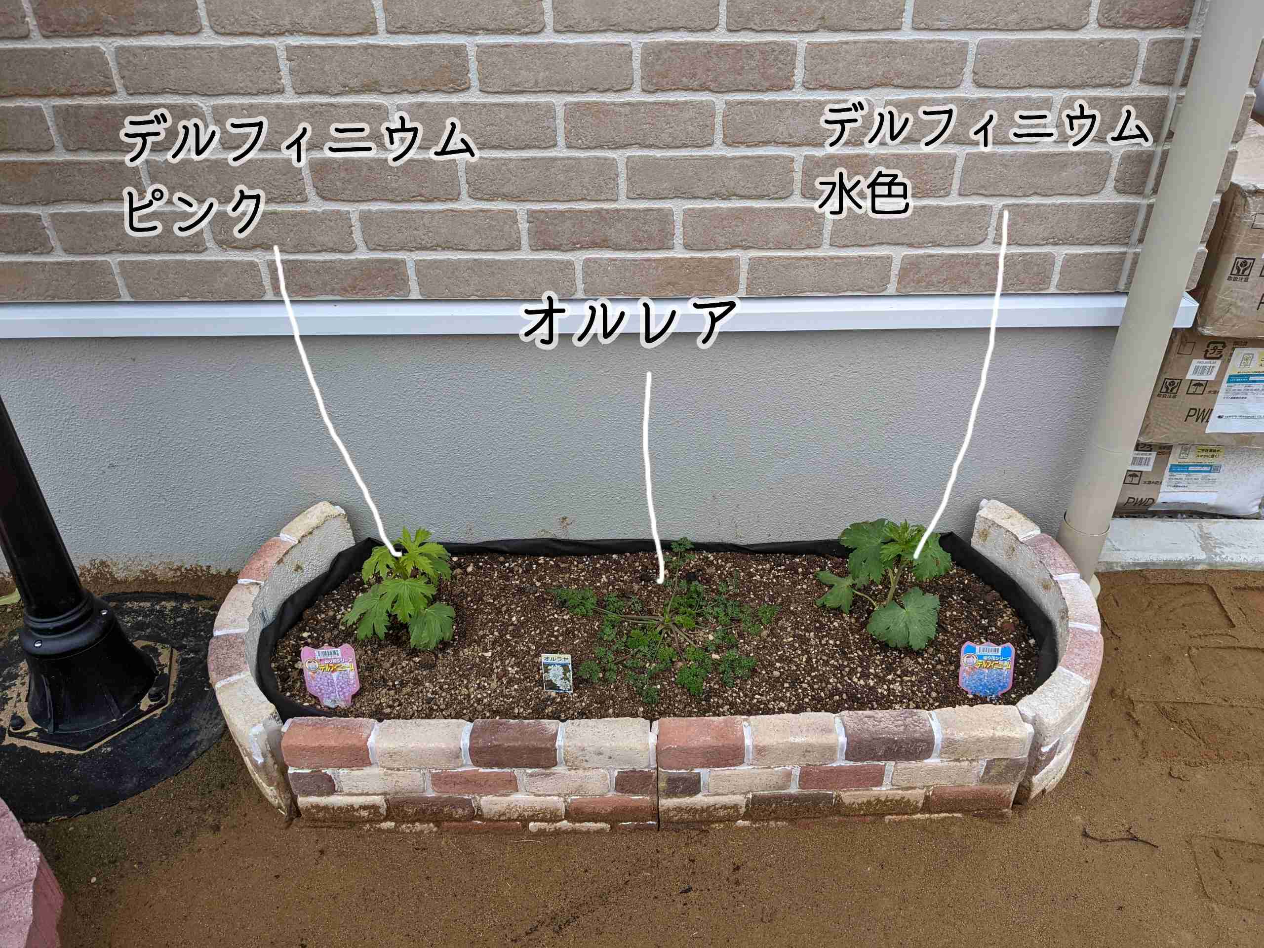 【ガーデニング】ガルちゃん園芸部【花・植物】part.12